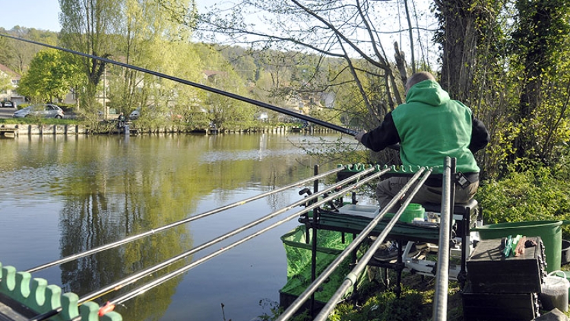 Les bases de la pêche au coup