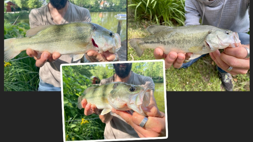 Où pêcher ?