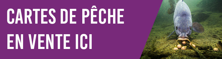 www.cartedepeche.fr