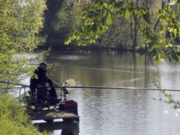 Pêche au coup