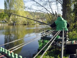 Pêche au coup